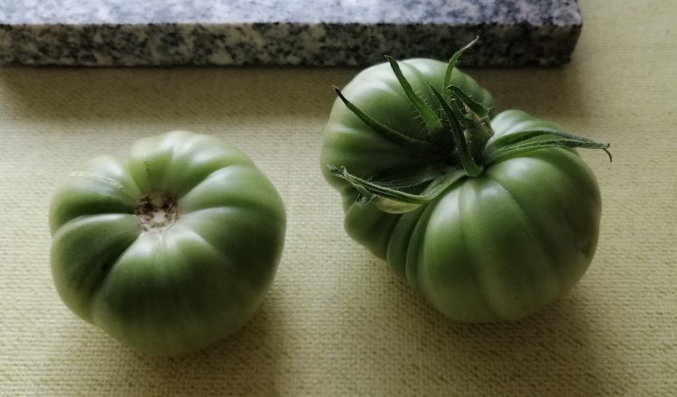 Grüne Tomaten