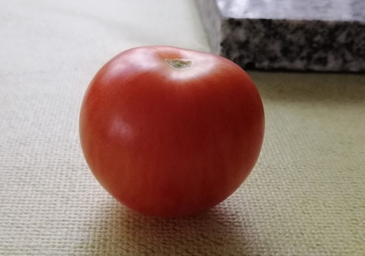 Tigerella