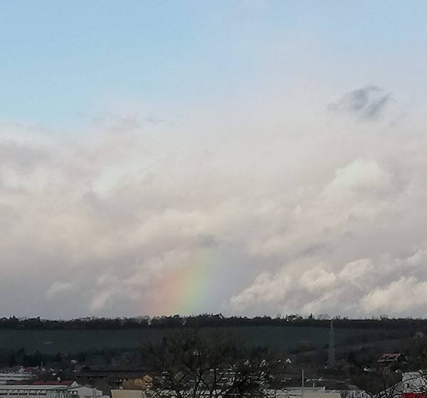 Regenbögileinchen