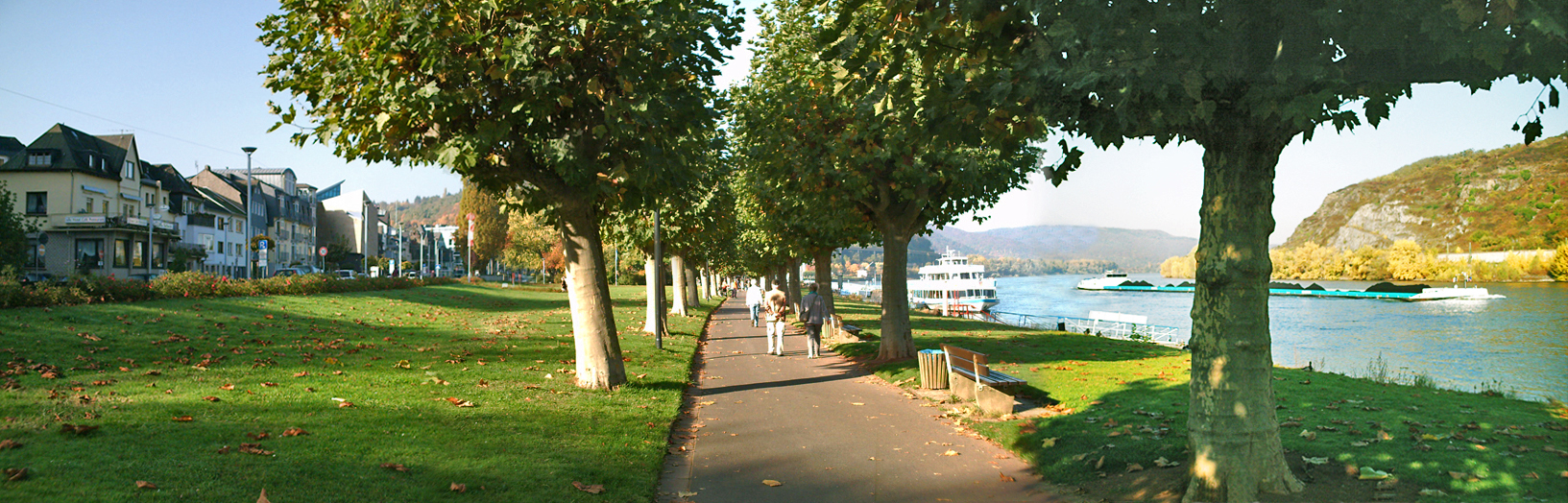 Panorama