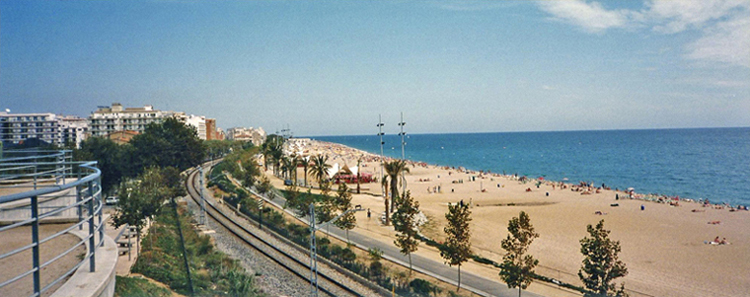 Callela