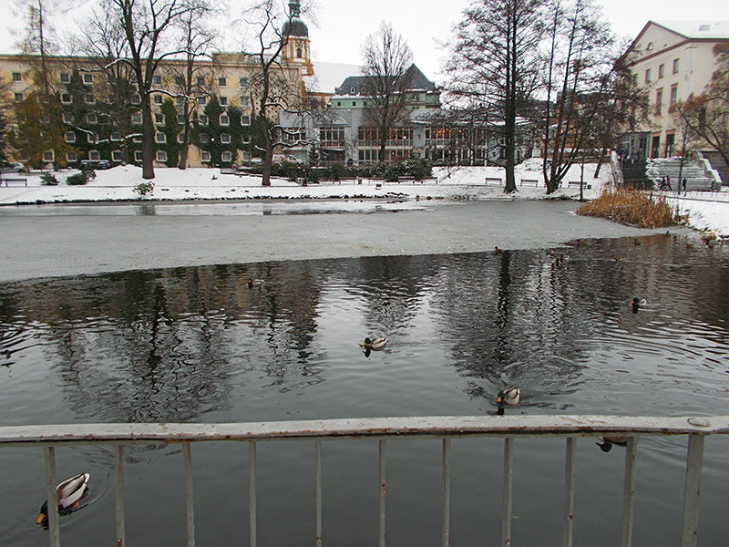 Bushalteplatz