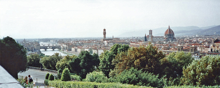 Blick von Michelangelo